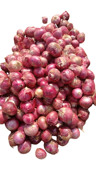 ONION